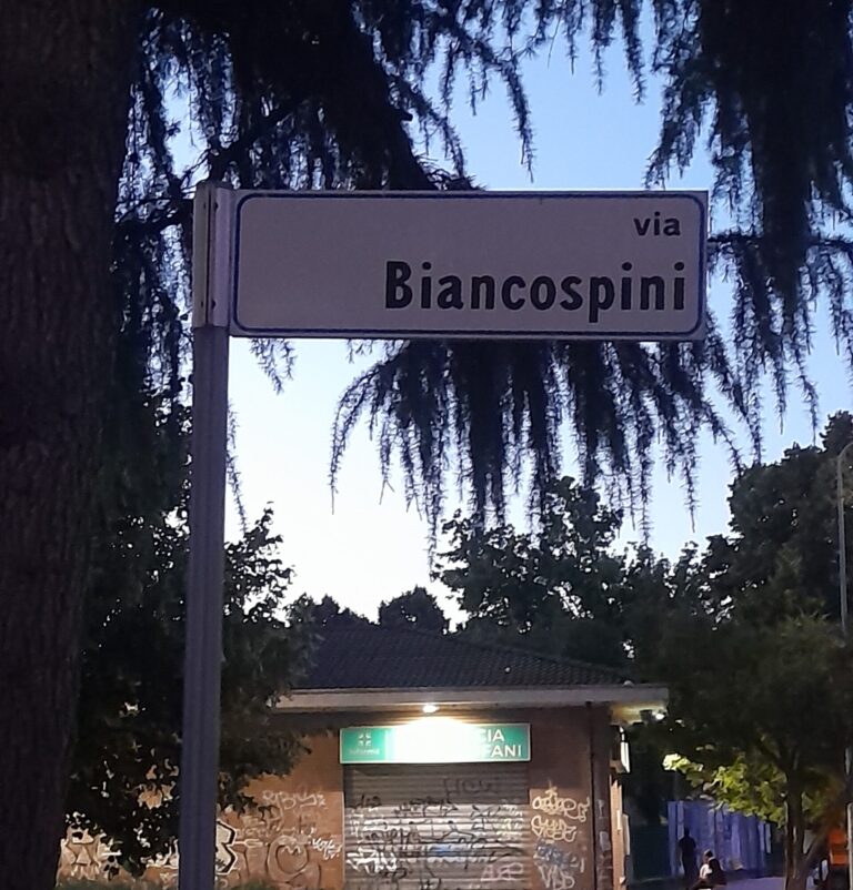 Via Biancospini Rozzano
