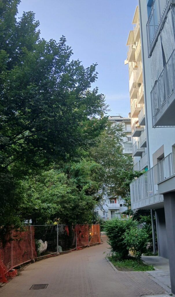 Rozzano: alberi di via dei Glicini all'interno del cortile non curato lambiscono i primi piani dei palazzi.